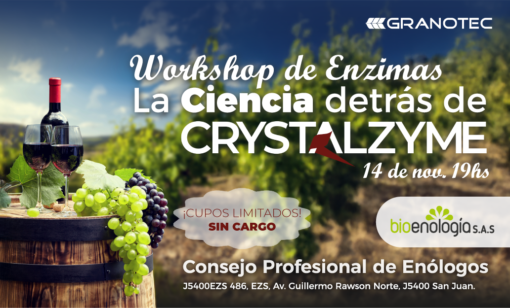 Workshop de Enzimas