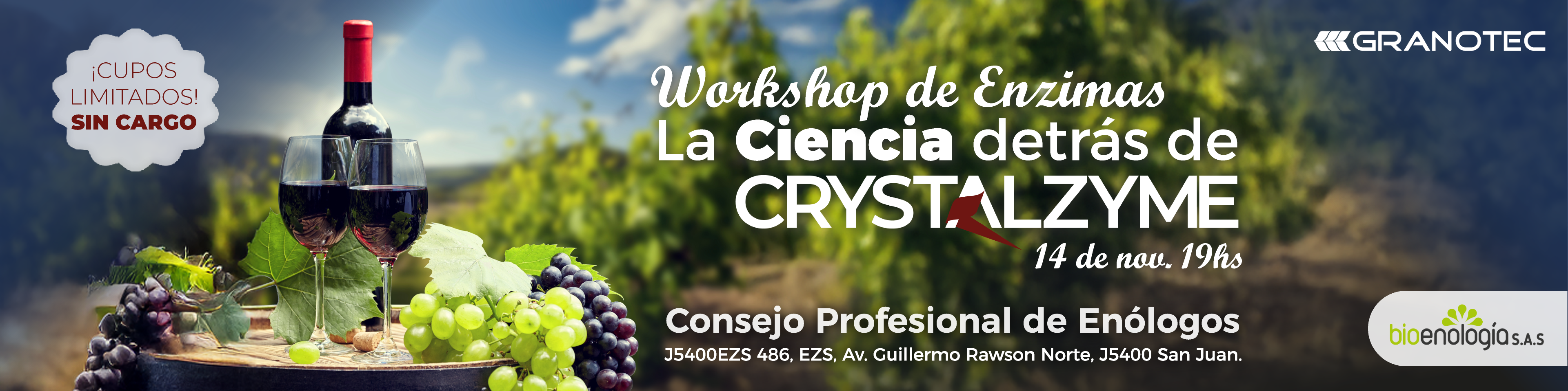 Workshop de Enzimas