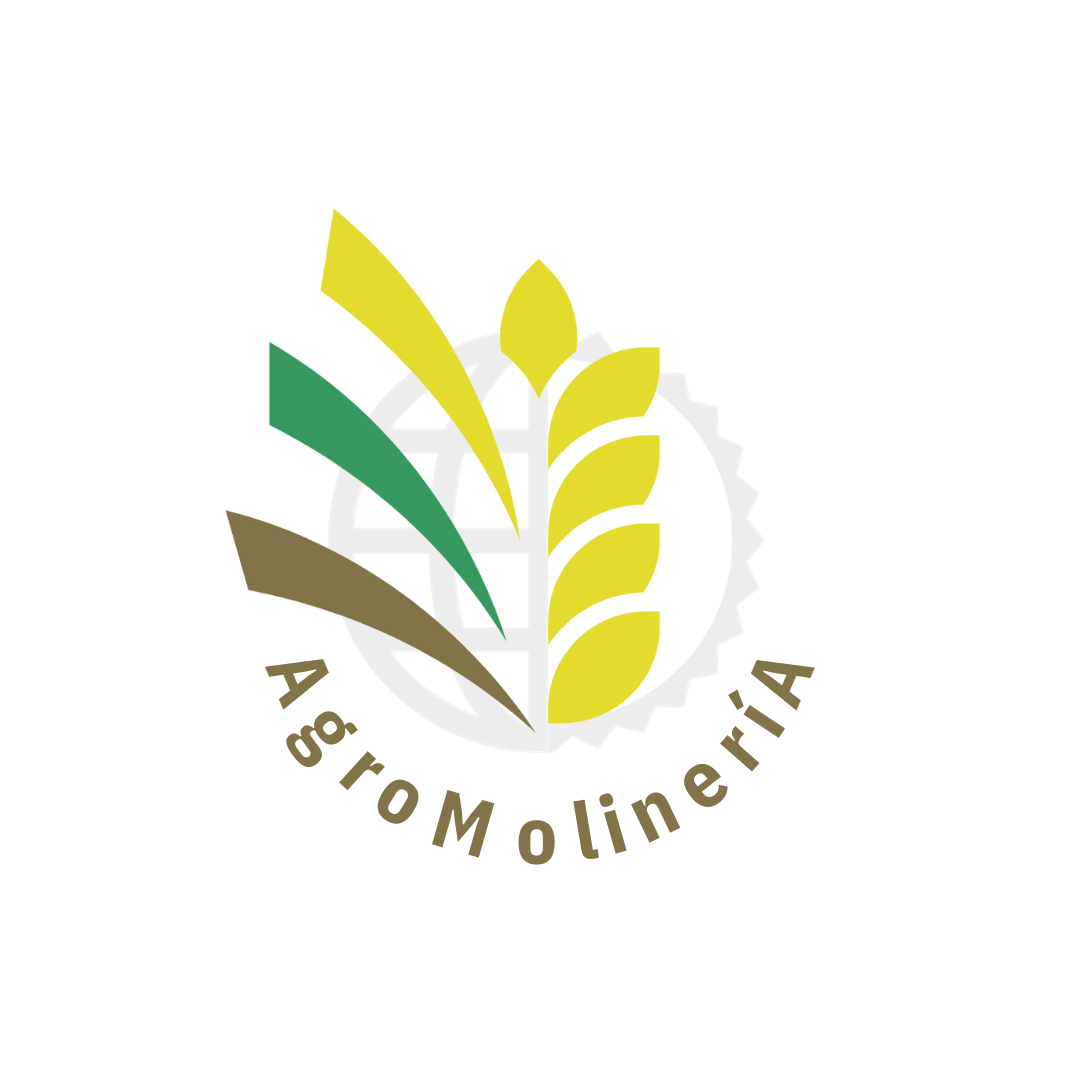 AM
